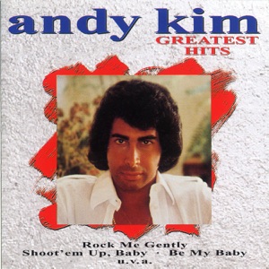 ANDY KIM