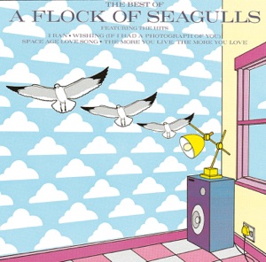 A FLOCK OF SEAGULLS