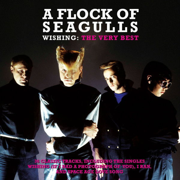 A FLOCK OF SEAGULLS