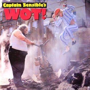 CAPTAIN SENSIBLE 