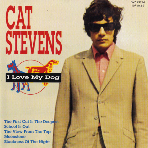 CAT STEVENS