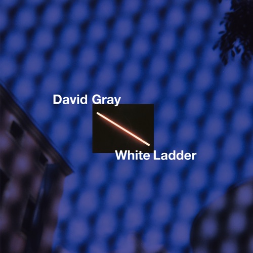 DAVID GRAY