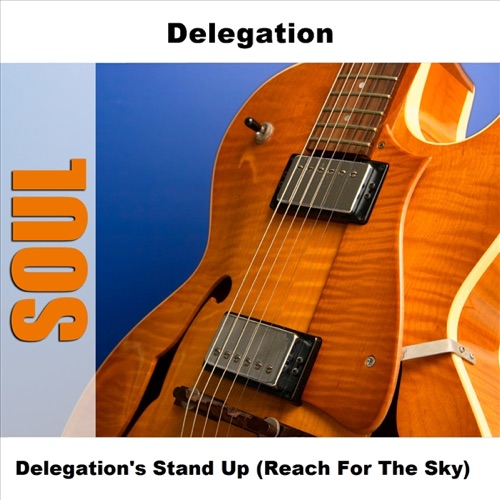 DELEGATION