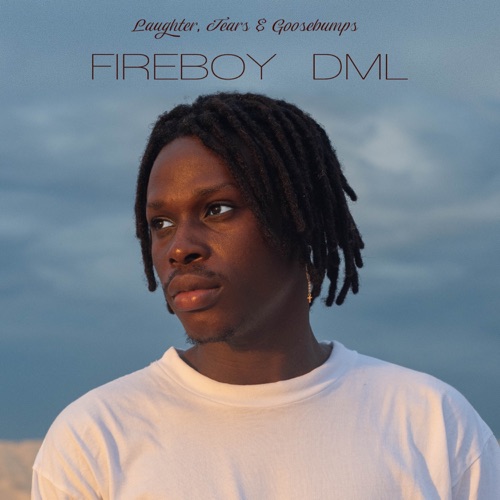 FIREBOY DML, PEACE CONTROL