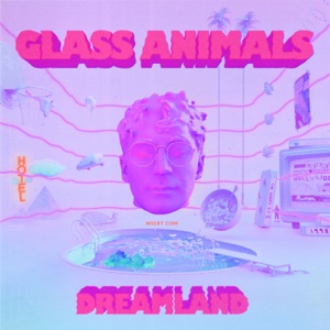 GLASS ANIMALS