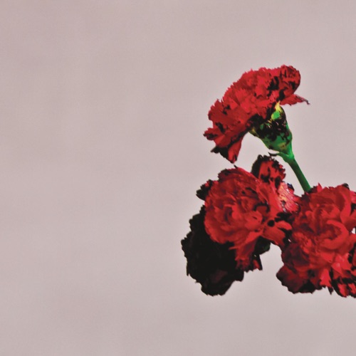 JOHN LEGEND X BLOODPOP