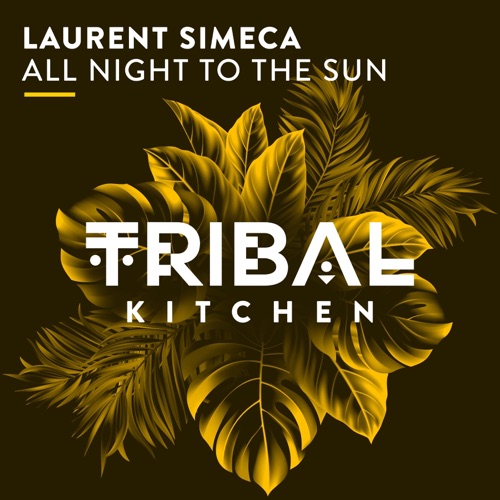 LAURENT SIMECA