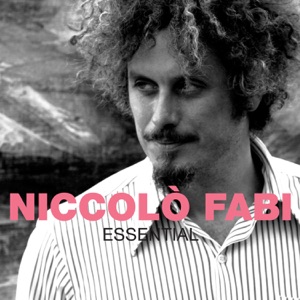 NICCOLÒ FABI