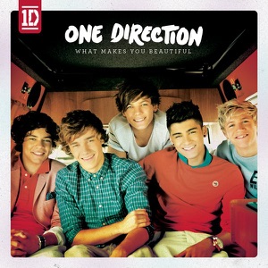 ONE DIRECTION 