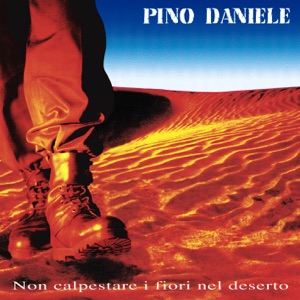 PINO DANIELE 