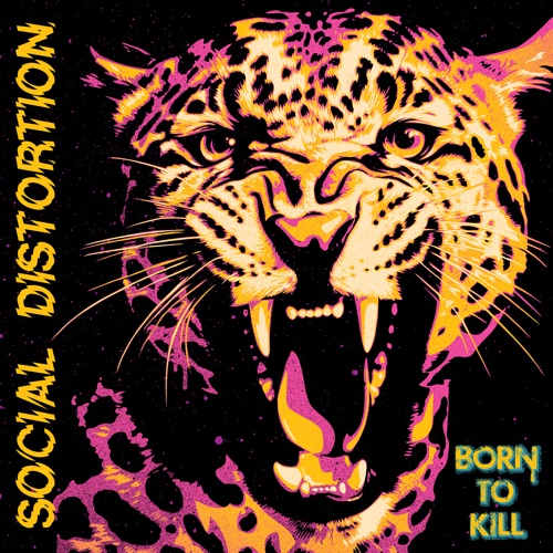 SOCIAL DISTORTION