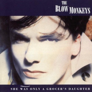 THE BLOW MONKEYS