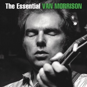 VAN MORRISON