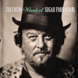 ZUCCHERO FORNACIARI