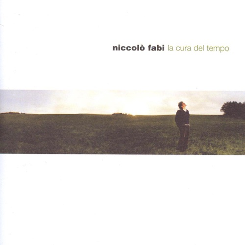 NICCOLÒ FABI