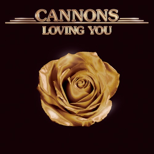 CANNONS