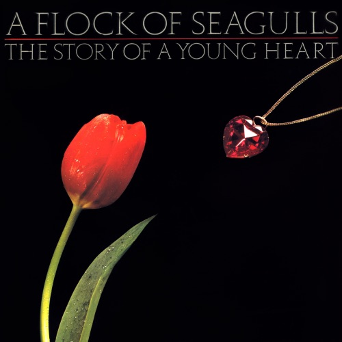 A FLOCK OF SEAGULLS 