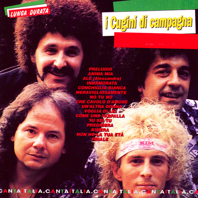 I CUGINI DI CAMPAGNA